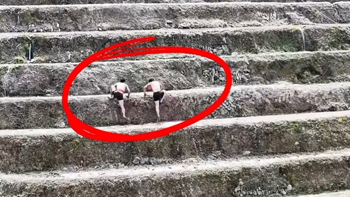 In the competition of climbing terraced fields, everyone has to cheat. First, second, start halfway 