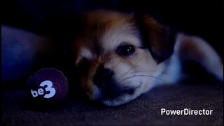 Be3 | Mister Maker S01 Episode 9 - Woolly Picture