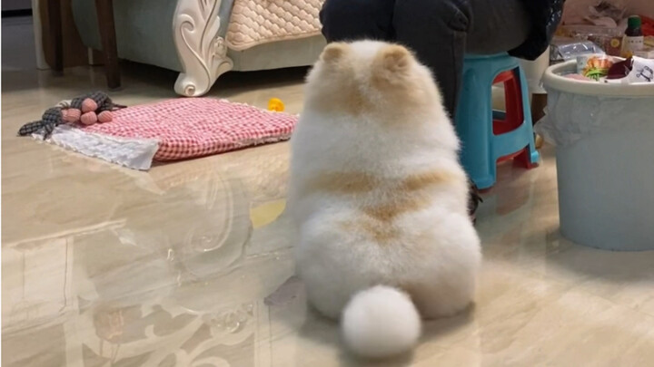 Một ngày ăn bám, uống nhờ