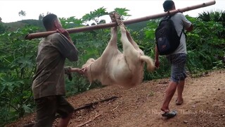 BẠCH DÊ NHIỀU MÓN | Nhịp Sống Thường Ngày