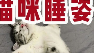 Analysis of cat sleeping postures, what kind of cat is yours?