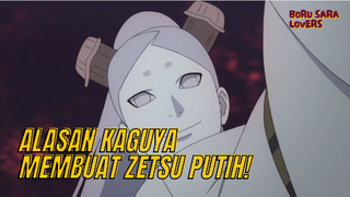 Alasan Kaguya Membuat Pasukan Zetsu Putih! | Boruto: Naruto Next Generations