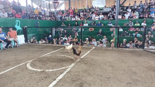 GOLDEN KANAWAYON WIN