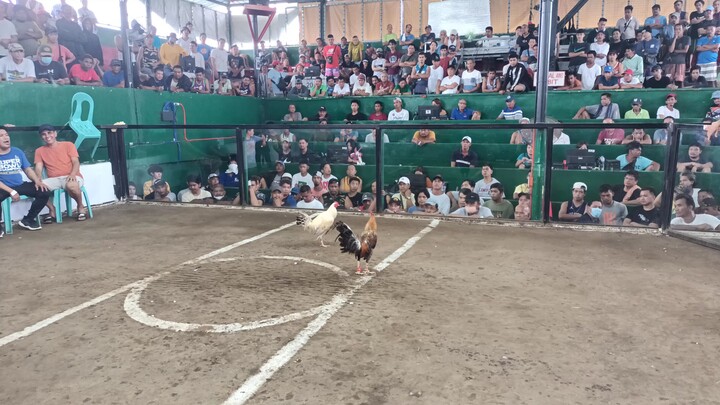 GOLDEN KANAWAYON WIN