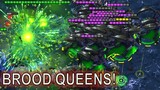 FIRST TIME USING BROOD QUEENS in 2022! | Starcraft II: Co-Op