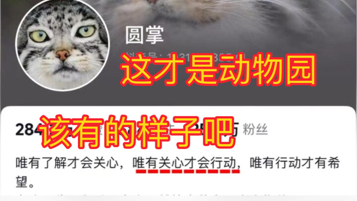 Only with genuine care and affection can there truly be a zoo!