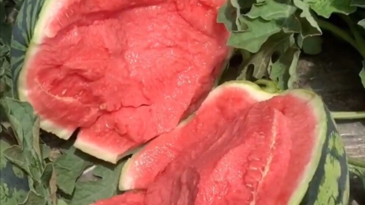 This is literally the melon of my dreams!