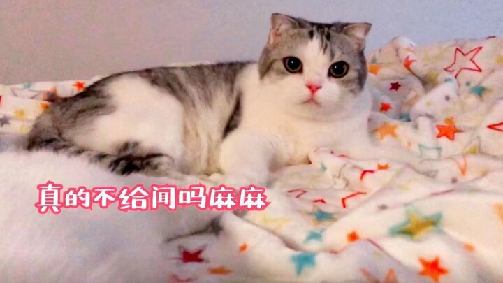 Em gái của tôi không thể đáng yêu đến thế được