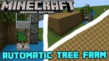 Minecraft Bedrock: Automatic Tree Farm [Tutorial]