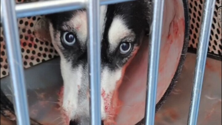 درسٌ مؤلم جدًا...