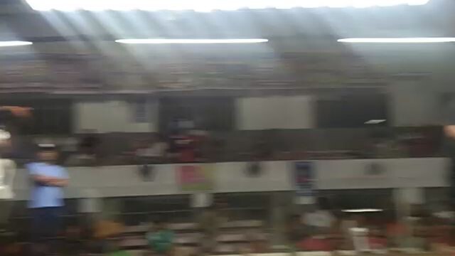 4th fight of spl gf88, loss. at ngsc 5stag wpc late born edition