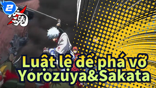 Luật lệ để phá vỡ |【Hoành tráng】Yorozuya，Sakata Gintoki，đang ở đây！_2