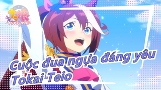 [Cuộc đua ngựa đáng yêu] Tokai Teio!!!