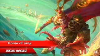 Honor of king Wukong montage 💀
