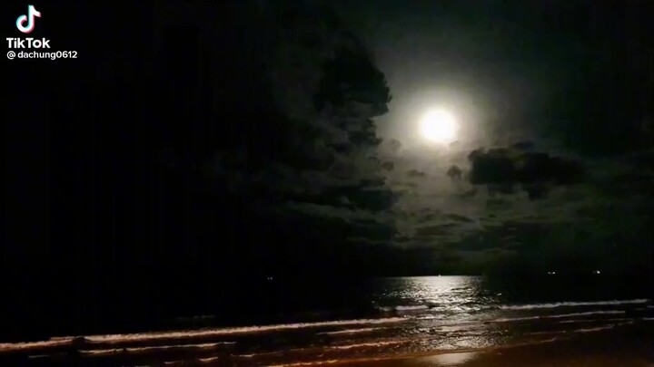 Vẻ đẹp tri thức