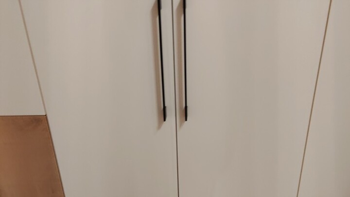 During Chinese New Year, with all the relatives at home, I hid in the closet and sang the Chainsaw M