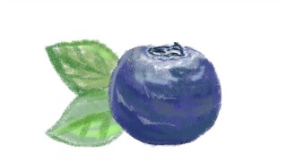 Drawing Blueberry