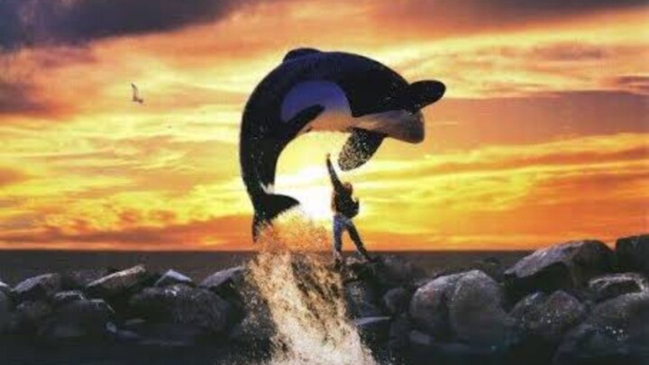 Free Willy (1993)  วิลลี่ เพื่อเพื่อนด้วยหัวใจอันยิ่งใหญ่ เต็มเรื่อง