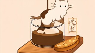 「不同品种猫咪的产生形式」