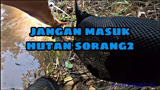 Cubaan menyelamatkan soft frog