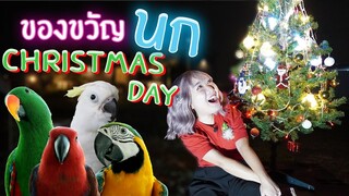 ของขวัญนกแก้ว Christmas Day EP.221