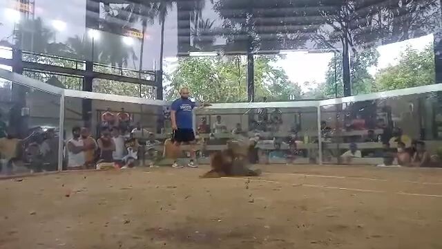 sante gameyard hacked fight win