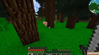 MINECRAFT KỴ SĨ RỒNG #1 _ RỒNG CON GIẬN DỮ, CHẾ TẠO MÁY ẤP TRỨNG RỒNG VÀ ĐI MINE