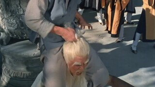 洪熙官儿子学会了虎鹤双形拳 ，找到仇人一击必杀