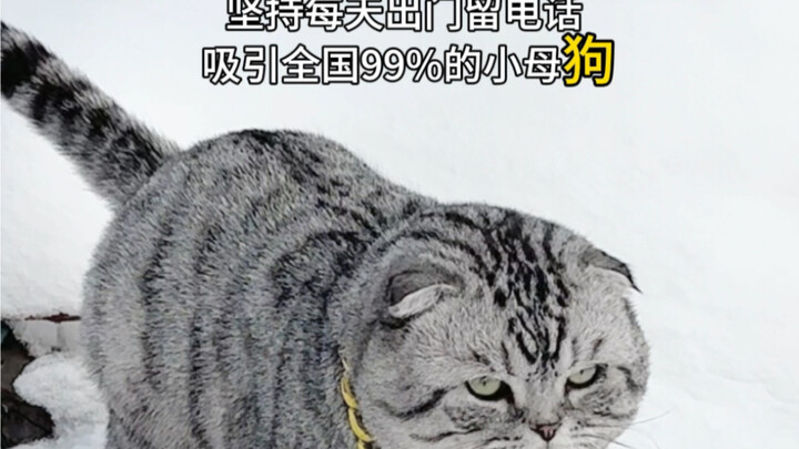 This still doesn’t work, bro~