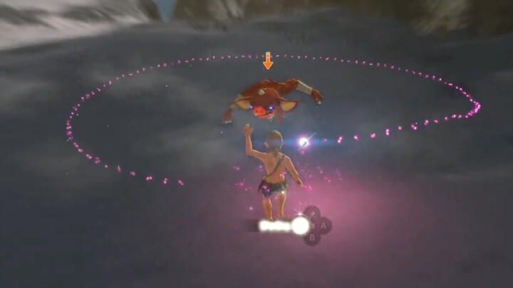 Link, who understood the theory of relativity