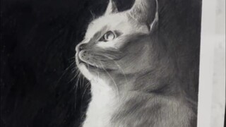 辛苦但快乐着的美术生