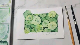 【水彩教程】清新植物铜钱草小插画过程分享～