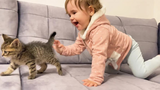 The Meeting of a Baby and a Kitten for the First Time