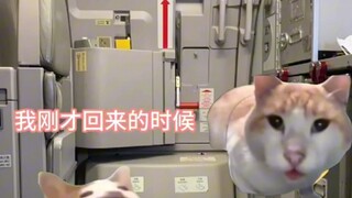 吃飞机自助餐