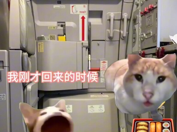 吃飞机自助餐