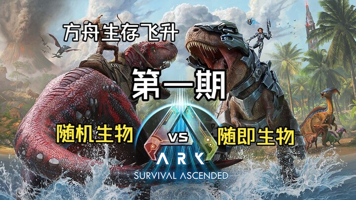 อาร์คฟลายอัพรันด้อมสัตว์ VS