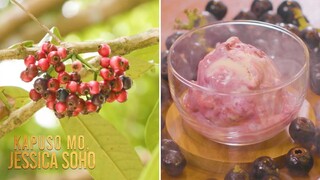 Ang lipote, kulay violet at napapanahong prutas daw ngayon! Ano ang lasa? | Kapuso Mo, Jessica Soho