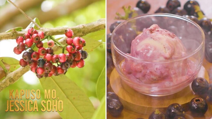 Ang lipote, kulay violet at napapanahong prutas daw ngayon! Ano ang lasa? | Kapuso Mo, Jessica Soho
