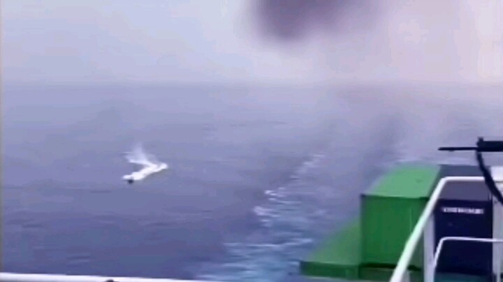⚡️Armed Merchant Ship: No Pressure ⚡️