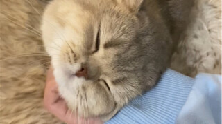 Who could possibly resist such adorable cuteness!