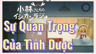 Sự Quan Trọng Của Tình Dược