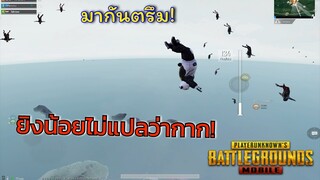 Pubg 📲 คิดใหม่! ยิงน้อยไม่ได้บอกว่าคุณกาก