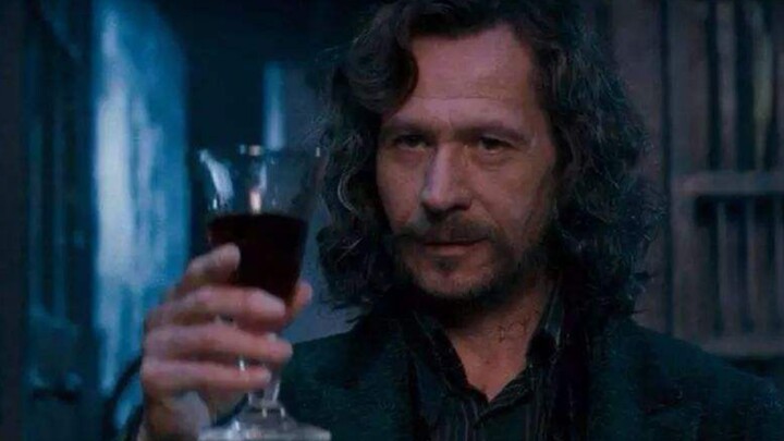 [Love and HP|Sirius Dog Dad] Your "magic wand" poked me! ! 🥵🥵 Also known as I don't want to be a gir