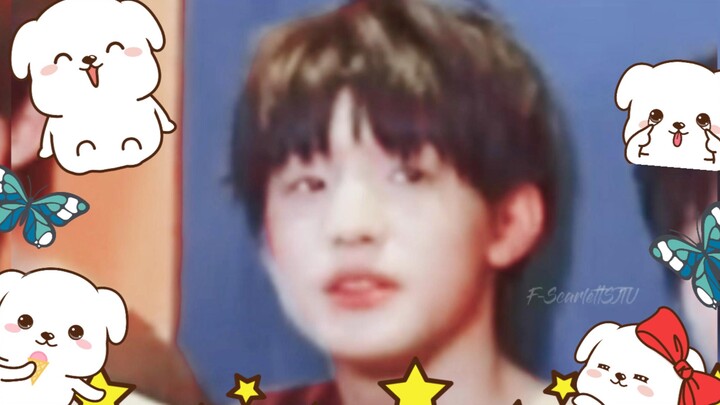 [Zhang Zeyu] I’m Getting a Puppy to Replace My Boyfriend | Pixel Pup X Adorable 🐶