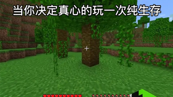 Minecraft: Apakah seperti ini jika Anda memutuskan untuk bermain survival murni?