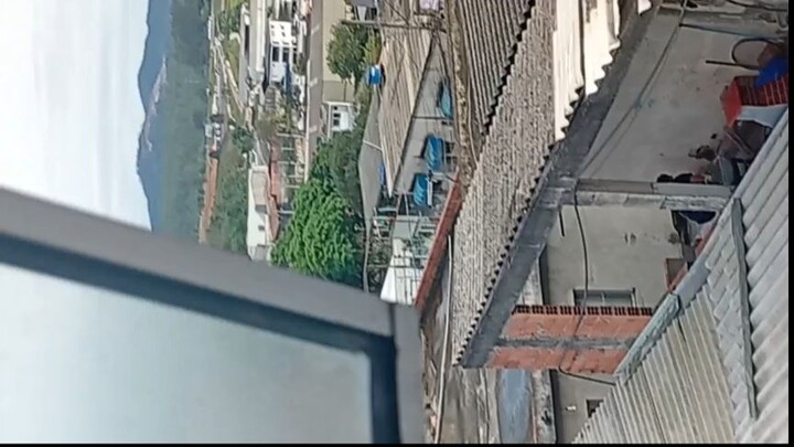 O vizino barulhento que agrada a m1l1c1a.