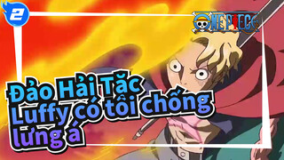 Đảo Hải Tặc
Luffy có tôi chống lưng á_2