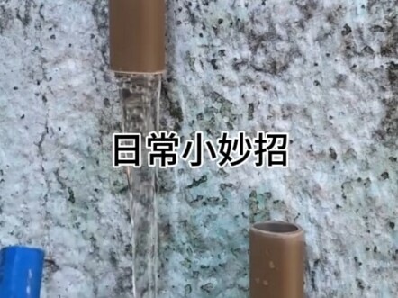 Tips Sehari-hari yang Berguna