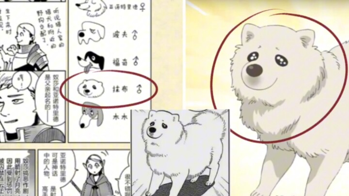 【深扒迷宫饭】莱欧斯在马露梦里的形象有什么深意？本体暴露！