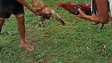 winalis Ng bulik😂
